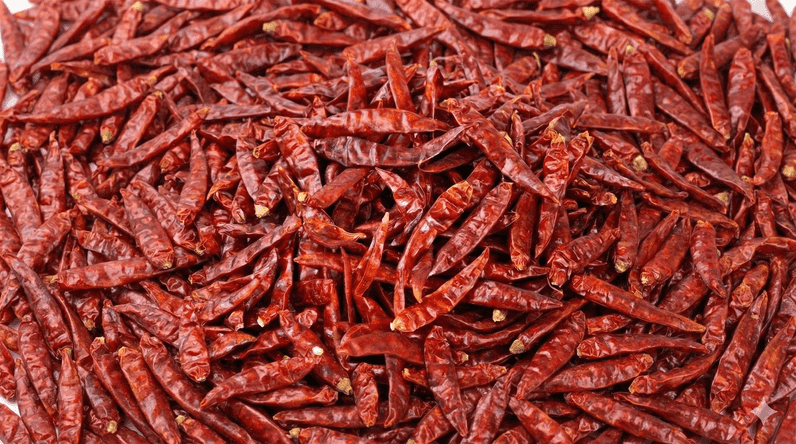 Chilli mandi price in Bihar
