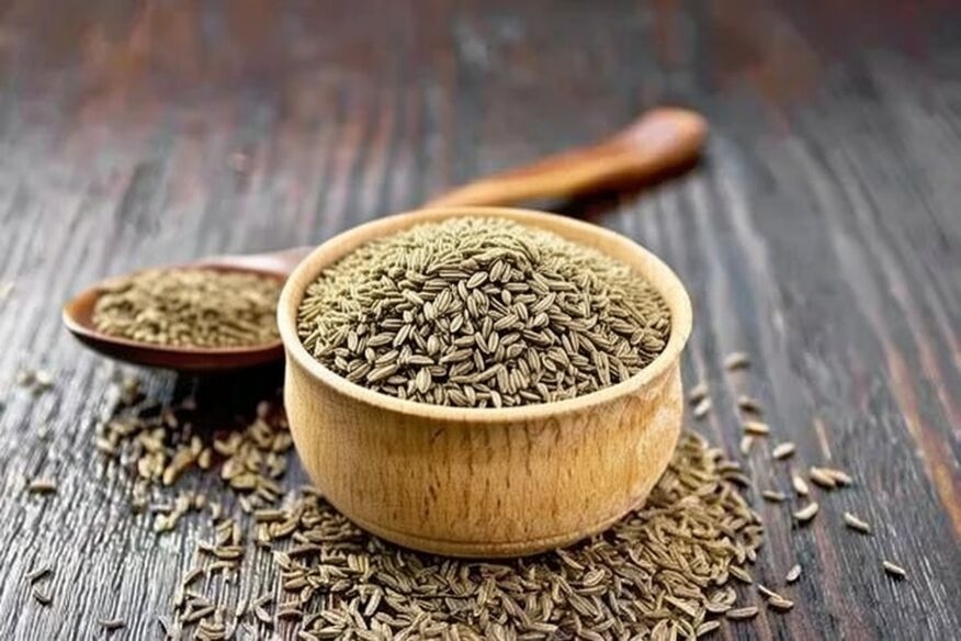 Cumin jeera mandi price in Bihar
